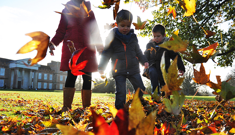 Autumn Walks in Hampshire